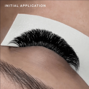 LBLA Lash Alchemist Adhesive