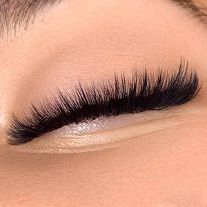 Hollywood Hybrid Lash Mapping Kit