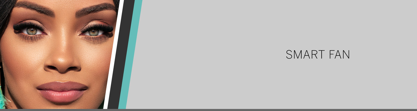 Smart Fan