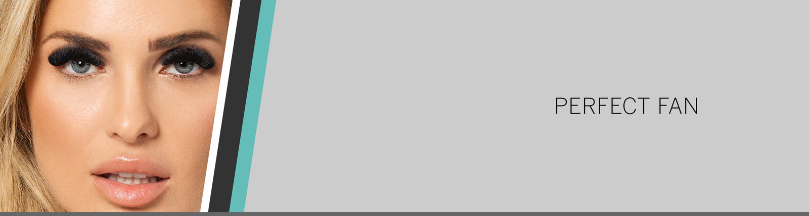 Perfect Fan