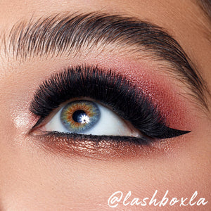 Eyelixir Eyeshadow Color Set of 4 - Retail Set - Colour Buzz
