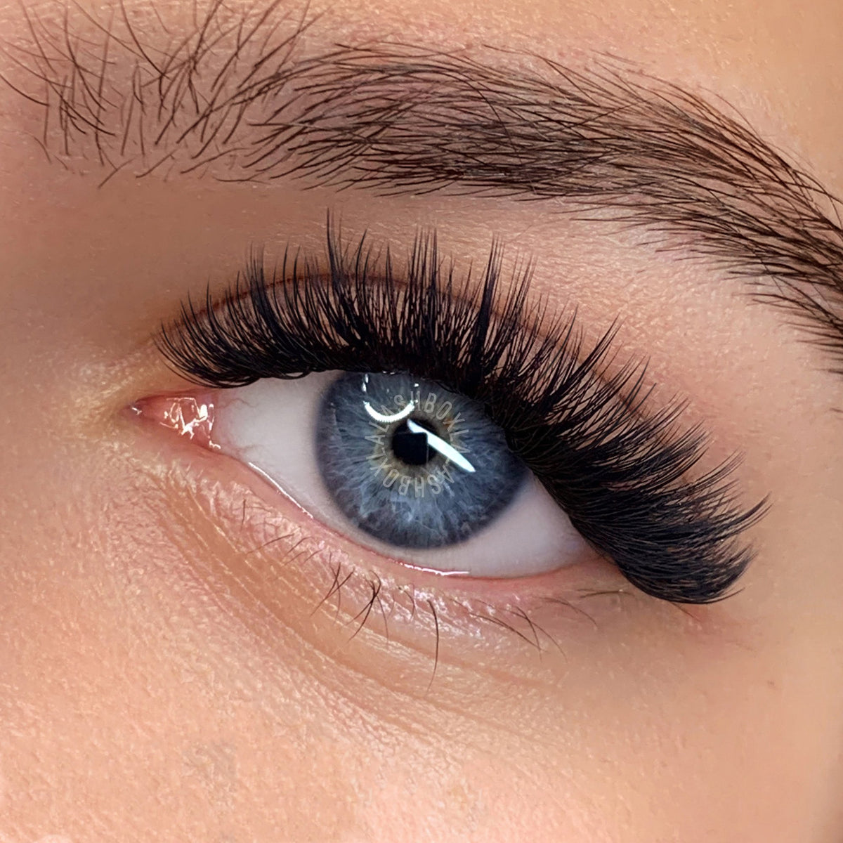 Hollywood Hybrid Lash Mapping Kit