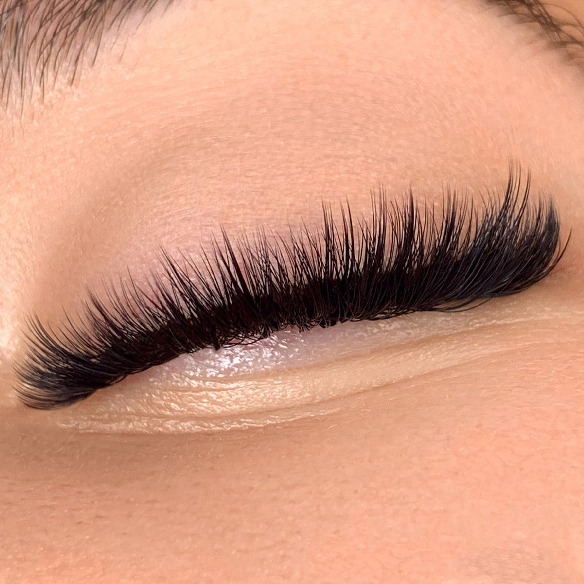 Hollywood Hybrid Lash Mapping Kit