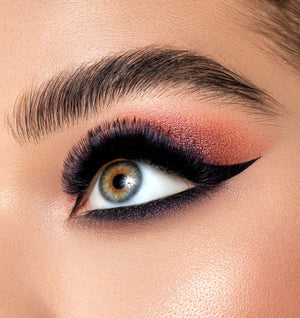 Eyelixir Eyeshadow Color Set of 4 - Color Buzz