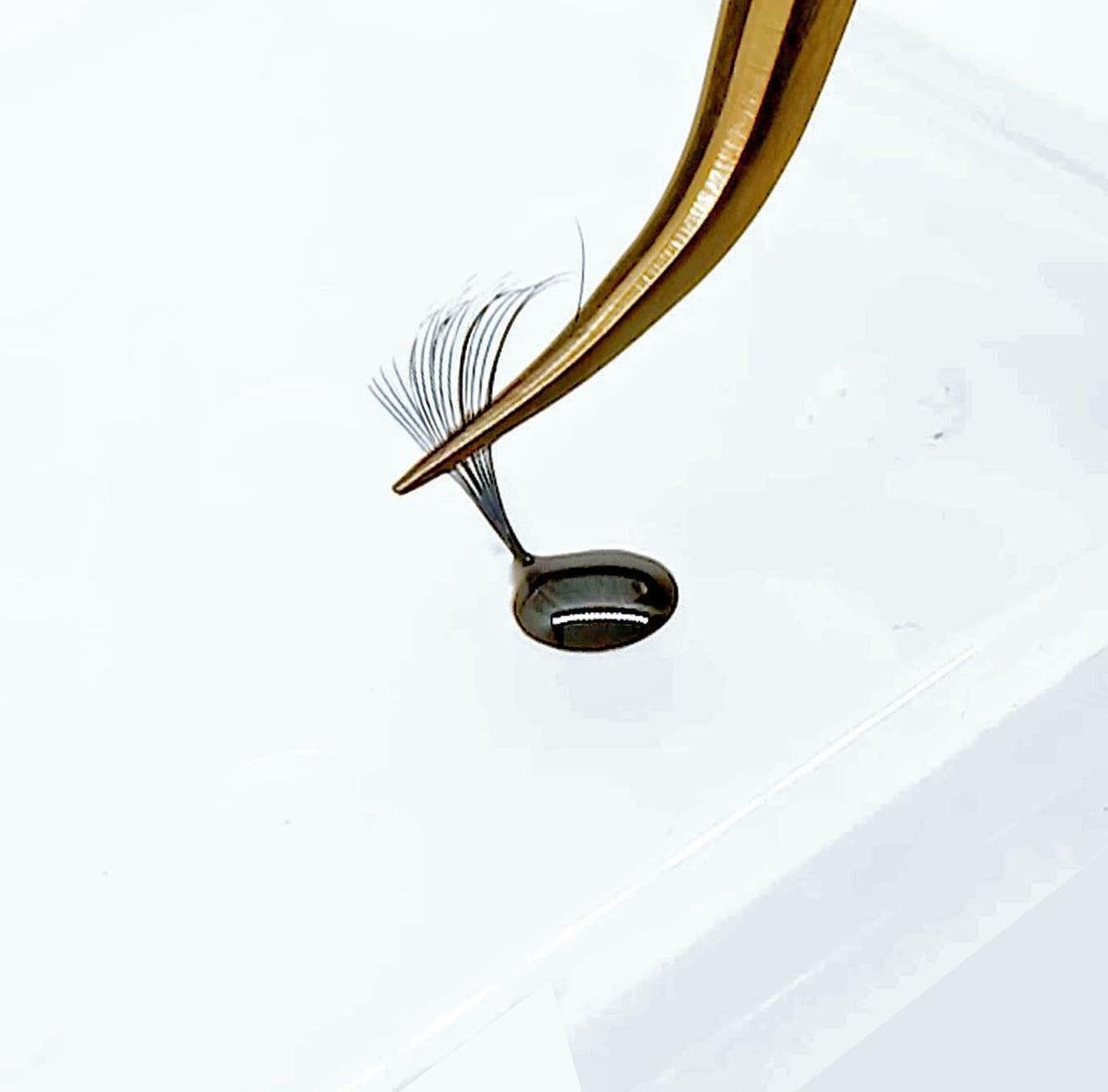 LBLA Volume Expert Glue Trays