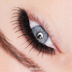 Ready to Wear Spike Lashes